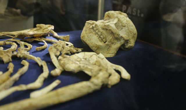 THE OLDEST SKELETON