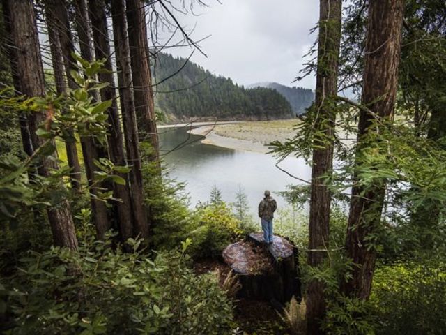 Long Term Smart Goal