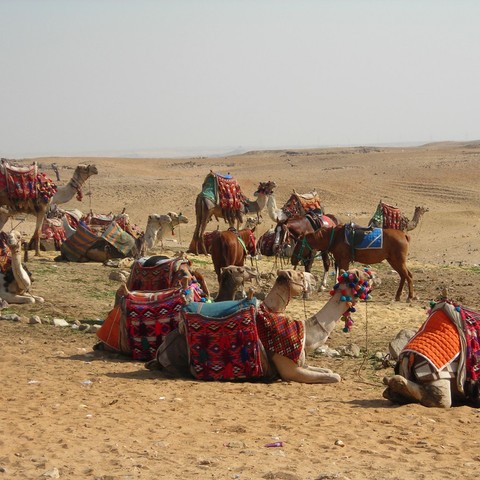 Second Mode of Transportation