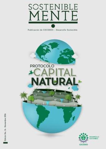 Sostenibilidad ambiental del capital natural