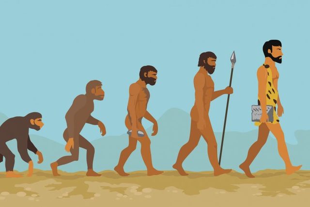 Los simios evolucionan al separarse de los monos del viejo mundo (23h53)