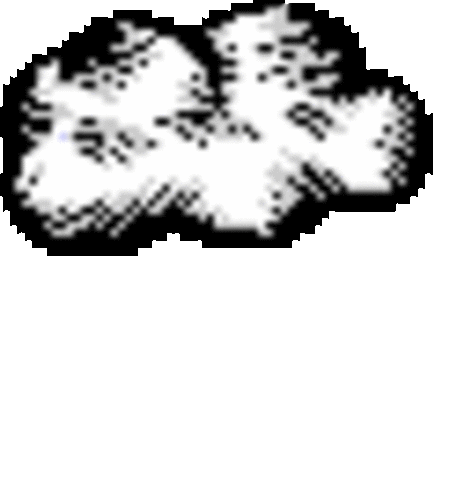 Mr. Book is born under a cloud