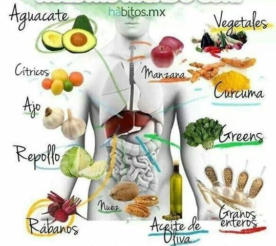 Medicina Ayurvédica,