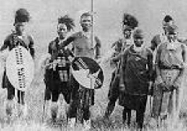 Zulu Revolution