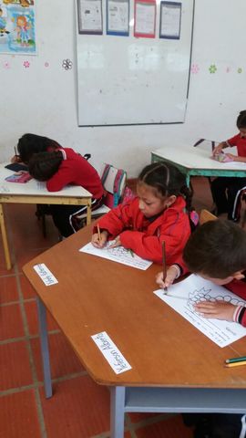 estudios hacia la educación superior