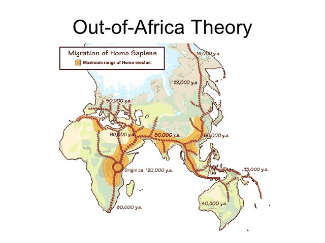 Out of Africa theory