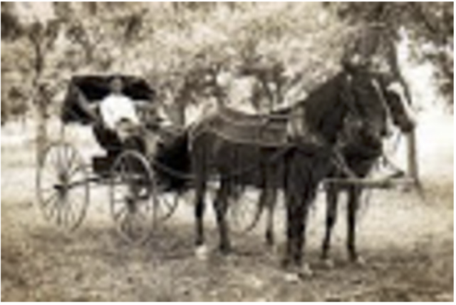 1650 PH transportation