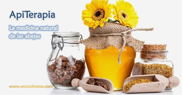 Apiterapia