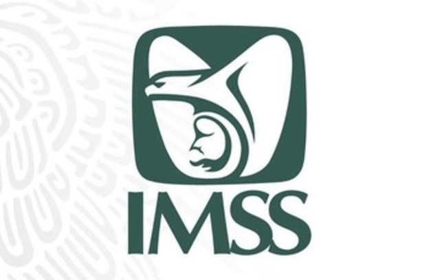 Creación IMSS