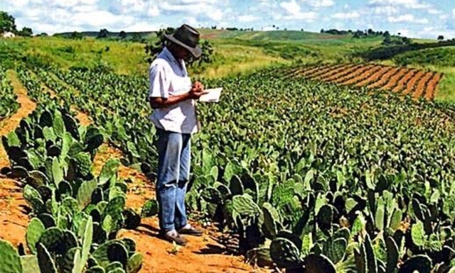 Political corruption.