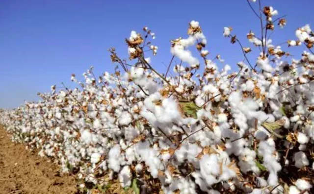 The beginning of slavery in America