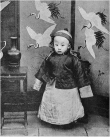 Fall of the Qing Dynsaty