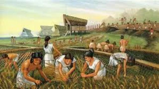 Agriculture Revolution