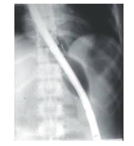 Dr. Arecio Peñaloza, Dr. Tomás Quevedo, Dr. Alberto Jamis