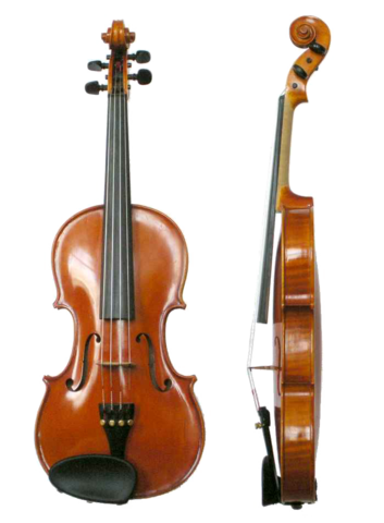 Mi violín