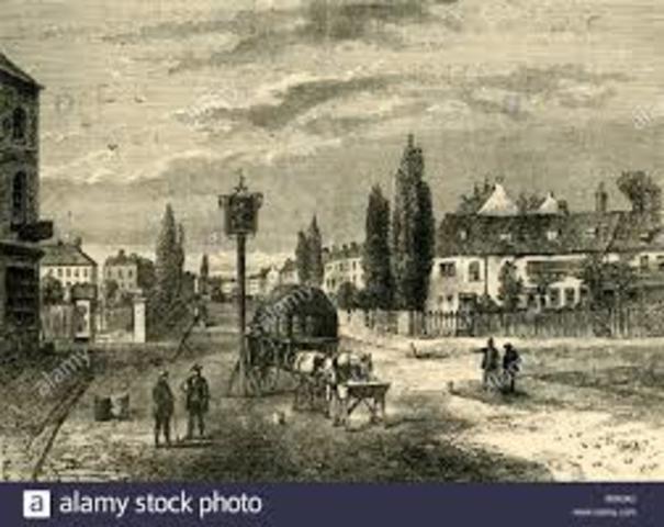 Veterinaria en Inglaterra