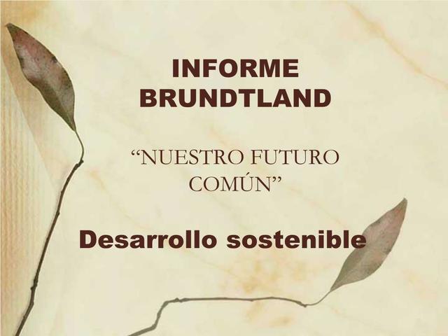 Comision mundial para el medio ambiente y desarrollo