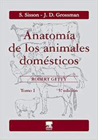 ANATOMIA DE LOS ANIMALES DOMÉSTICOS