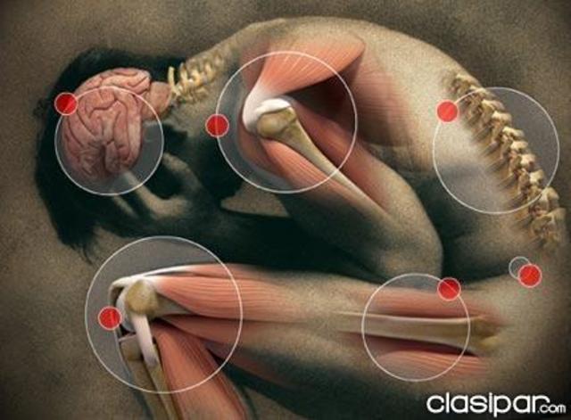 Osteopatia y Quiropraxia.