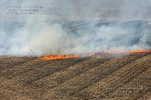 El hambre como determinante