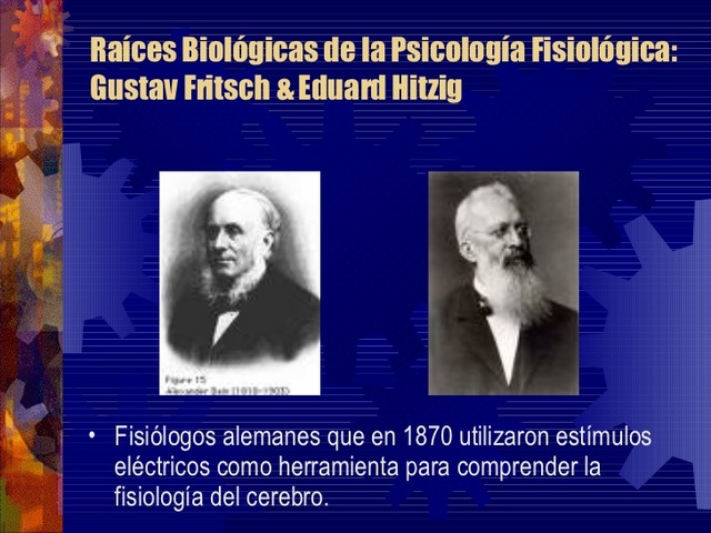 Gustav Fritsch y Edward Hitzig. Electrofisiologia.