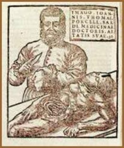 La anatomía, la botánica y la farmacología