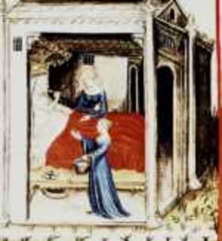 Medicamentos vegetales Siglo XVl