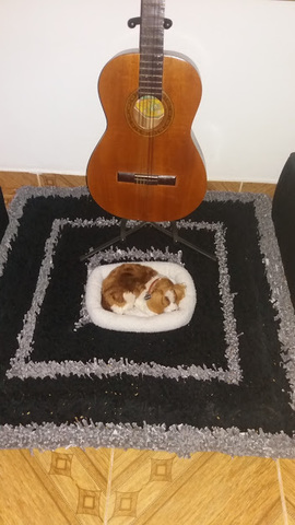 Iniciando camino empresarial