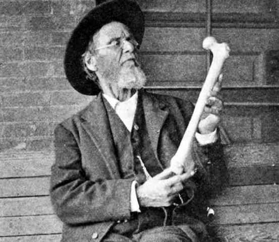 OSTEOPATIA y QUIROPRAXIA  - Andrew Taylor Stil