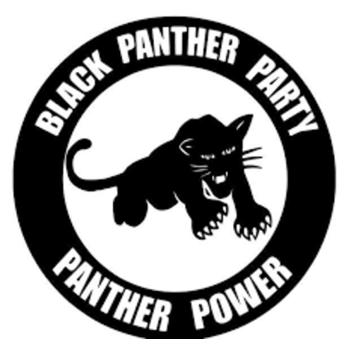 7.  Interesting Fact