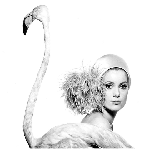 Portrait de Catherine Deneuve - David BAILEY