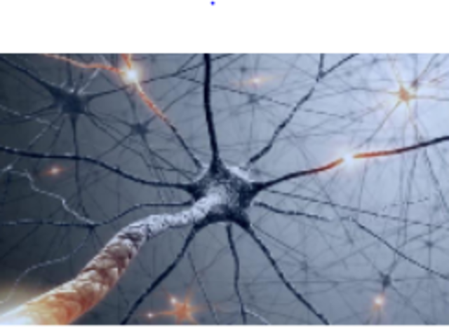 EL SURGIMIENTO DE LAS PRIMERAS NEURONAS