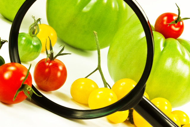 Seguridad Alimentaria