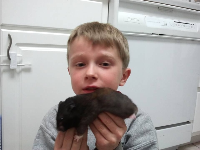 First Pet