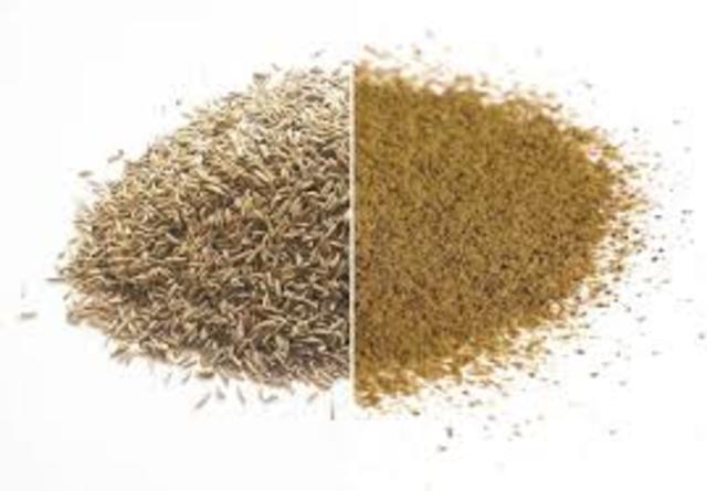 Pedro cabello de la Torre