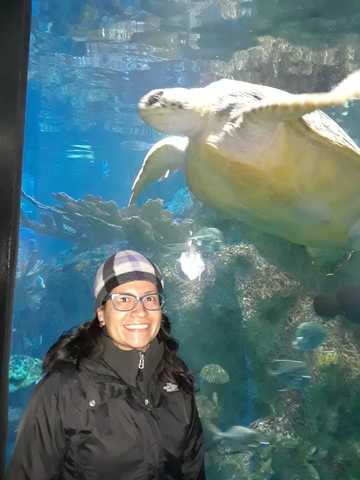 Visitando The New England Aquarium (Boston, US)