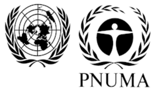 PNUMA
