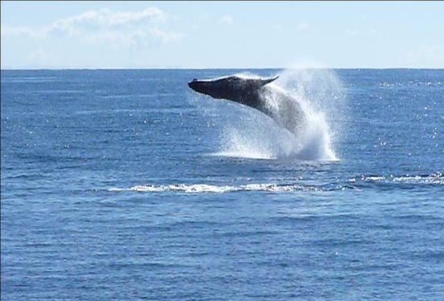 Today I headed off on my lonley cruise