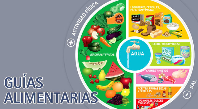 Guias alimentarias
