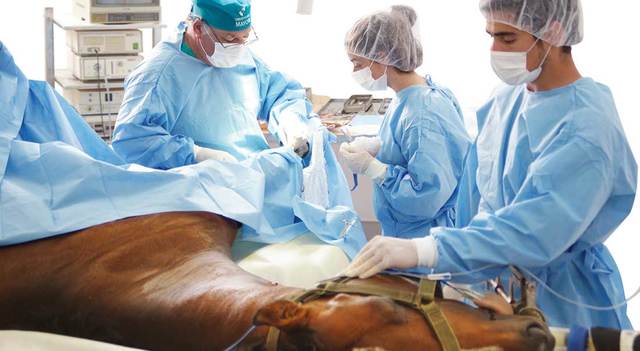 Planta Física de las Escuelas de Medicina Veterinaria y Zootecnia
