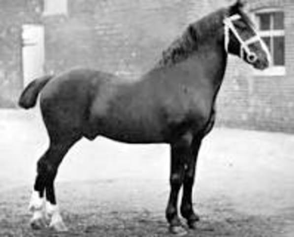 Transportation Of Goods