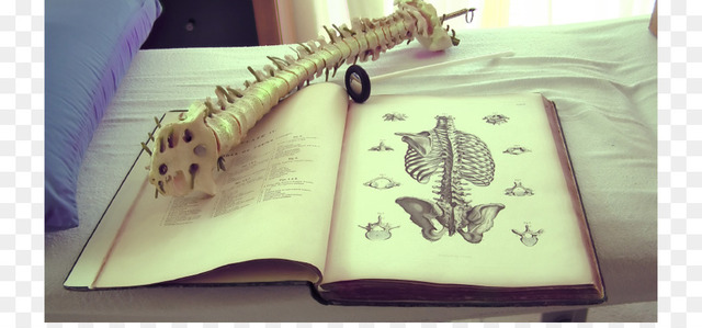 Manipulación quiropráctica