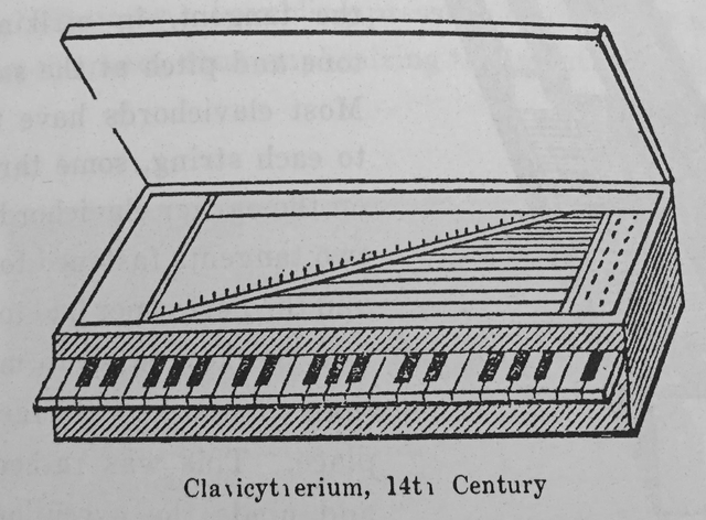Clavicytherium