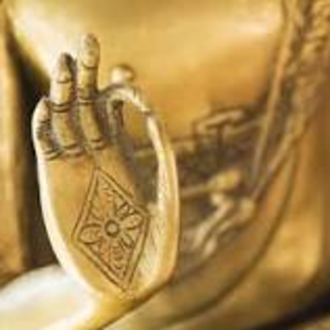 Medicina Ayurvédica