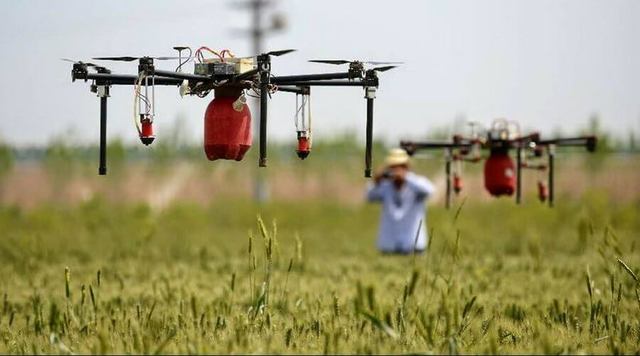 ACTUALIDAD - crecimiento de la agricultura