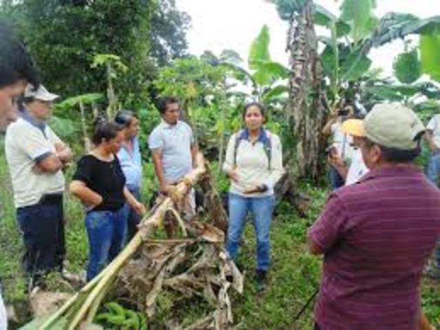 tendencia de la tierra