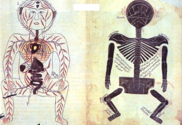 Libro " Isagoge Ioannitti"