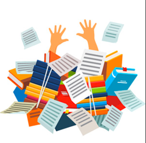 Flight Attendant Training Camp