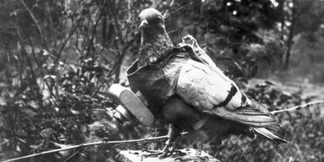 PRIMERA GUERRA MUNDIAL