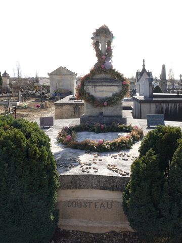 Jacques Cousteau death